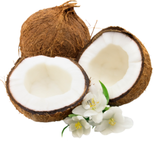 coconut